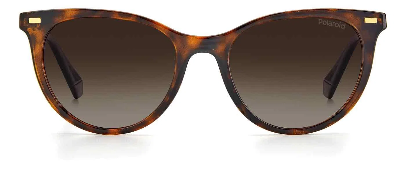 Polaroid Core Polaroid4107 Sunglasses - view 8